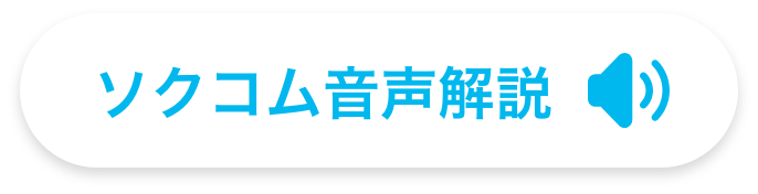 ソクコム音声解説